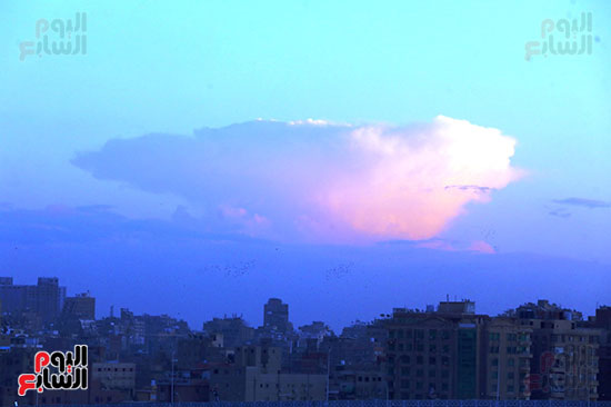 سماء مصر بالألوان.. السحاب يرسم تكوينات جمالية وقت الغروب (11)