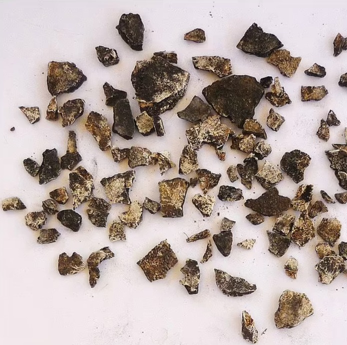 ماتبقى من العظام بعد حرقها ماتبقى من العظام بعد حرقها