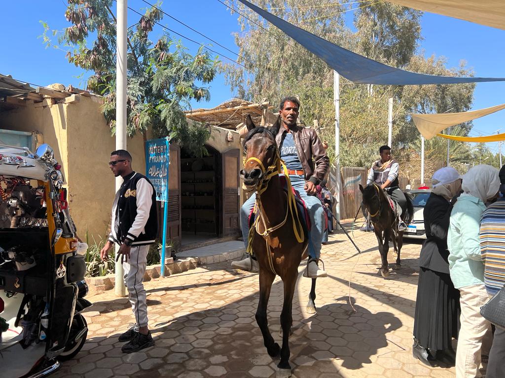 جانب من إنطلاق مهرجان تونس للحرف اليدوية (2)