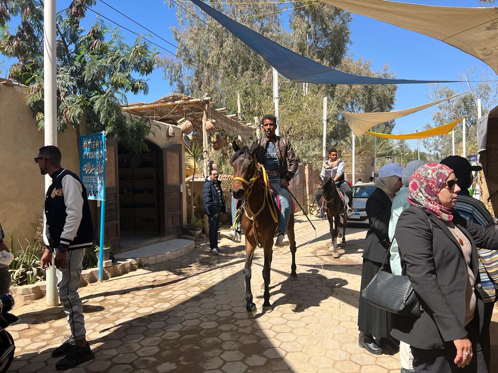 جانب من إنطلاق مهرجان تونس للحرف اليدوية (8)