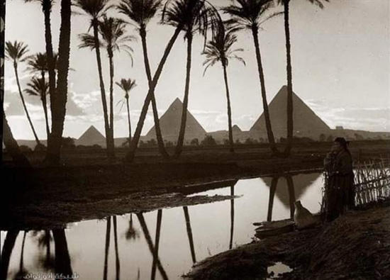 النيل فى أهرامات الجيزة (8)