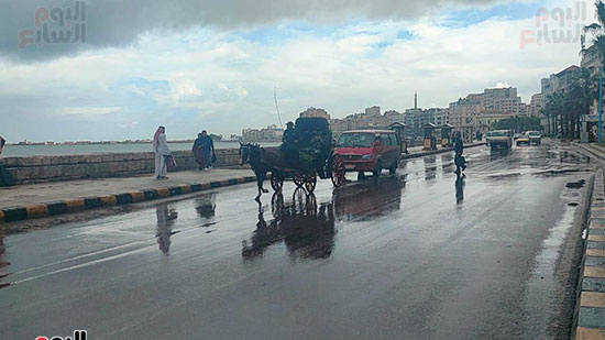 أمطار---الإسكندرية.----اليوم أمطار---الإسكندرية.----اليوم
