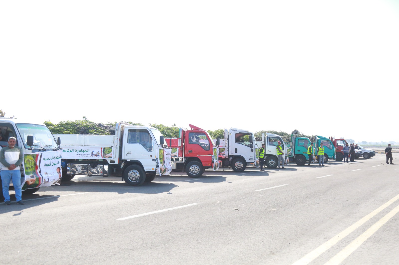 جانب من السيارات المحملة بالاشجار