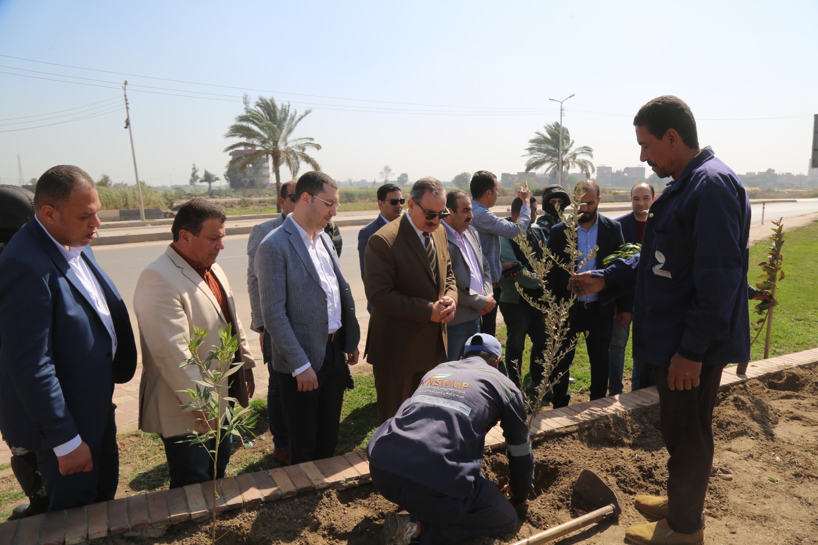 محافظ كفر الشيخ يتابع زراعة الاشجار