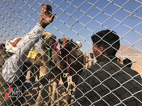 جانب-من-البطولة-(1)