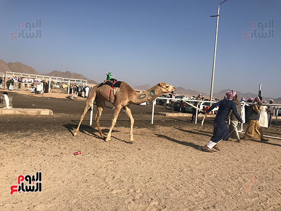 جانب-من-البطولة-(2)