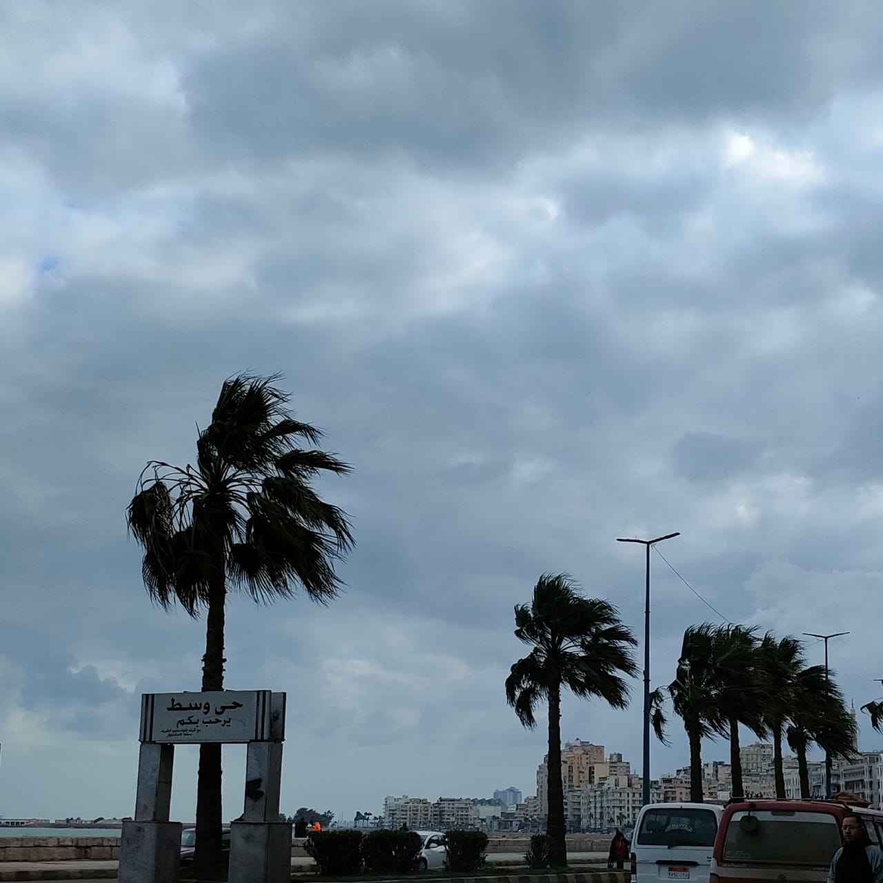 ورياح وانخفاض في درجات الحرارة بالإسكندرية ورياح وانخفاض في درجات الحرارة بالإسكندرية