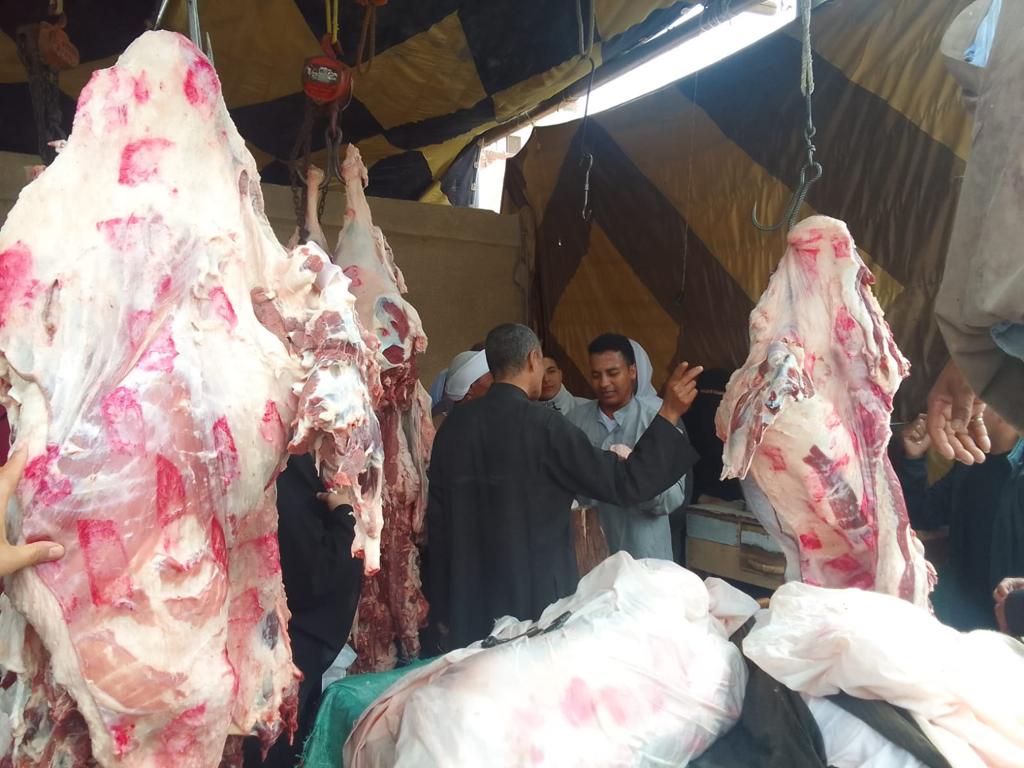 افتتاح منفذ لبيع اللحوم بأسعار مخفضة (1)