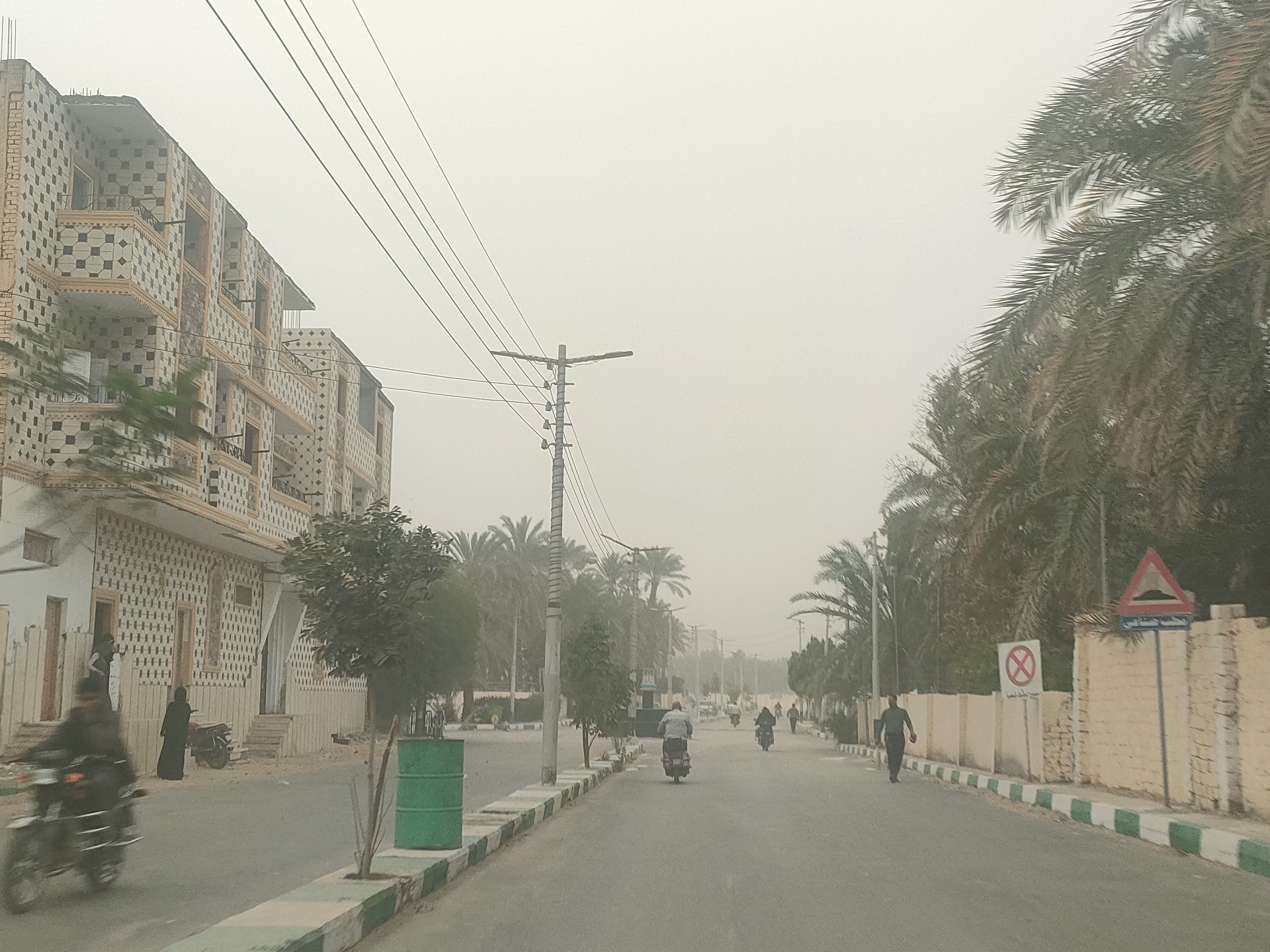 عواصف ترابية تضرب محافظة الوادي الجديد (13)
