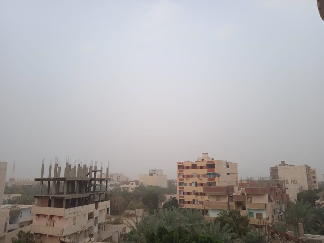 عواصف ترابية تضرب محافظة الوادي الجديد (6)