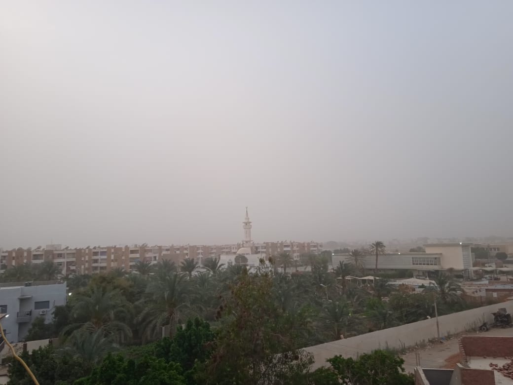 عواصف ترابية تضرب محافظة الوادي الجديد (7)