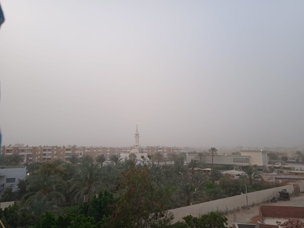 عواصف ترابية تضرب محافظة الوادي الجديد (5)