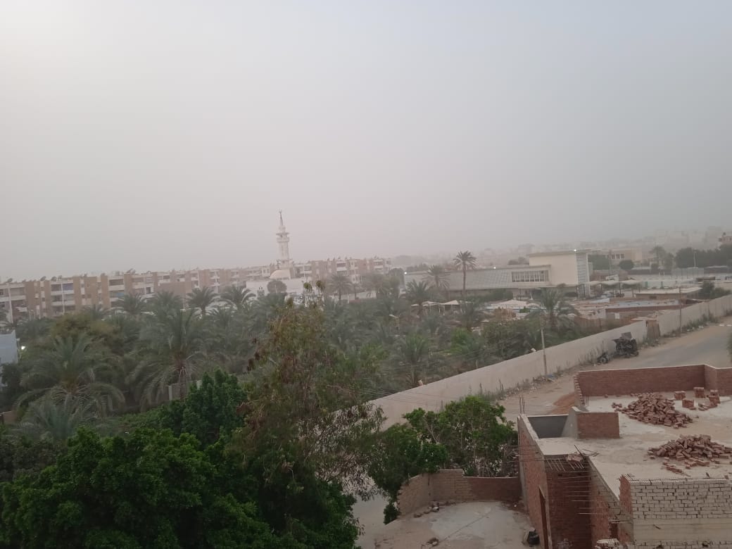 عواصف ترابية تضرب محافظة الوادي الجديد (8)