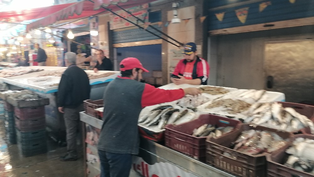الأسماك في سوق بورسعيد
