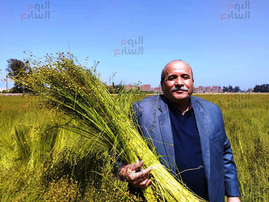 دكتور-مهدي-محمد-رئيس-برنامج-النهوض-بمحاصيل-الألياف