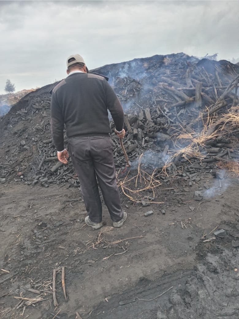 جانب من الحملات  (4)