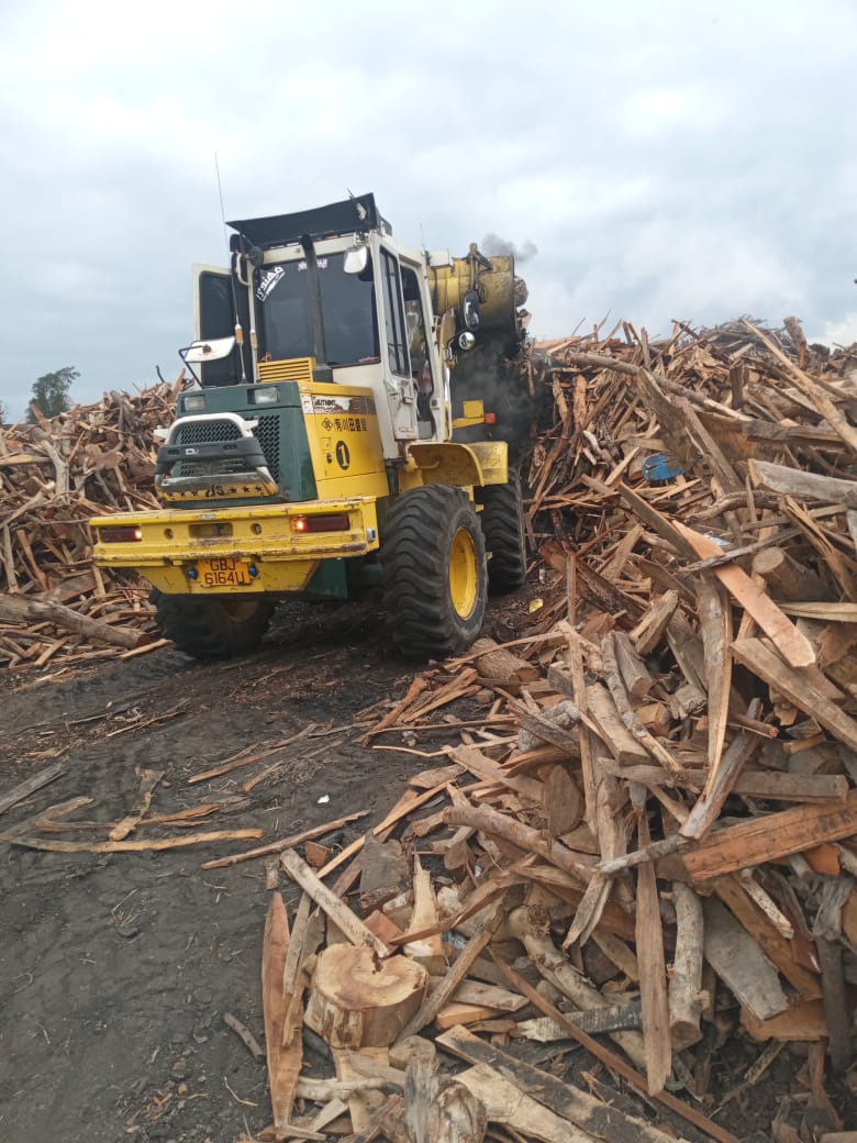 جانب من الحملات  (5)