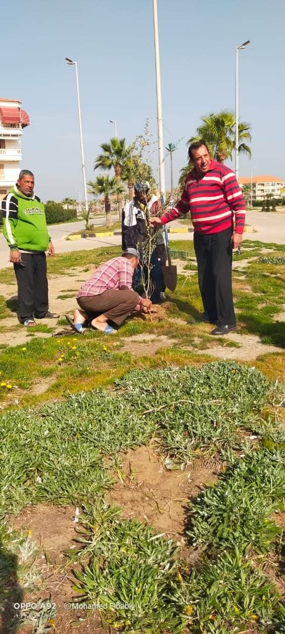 دمياط: تسلمنا 100 ألف شجرة منها 6 آلاف لمراكز الشباب ضمن مبادرة الرئيس.. صور – محافظات