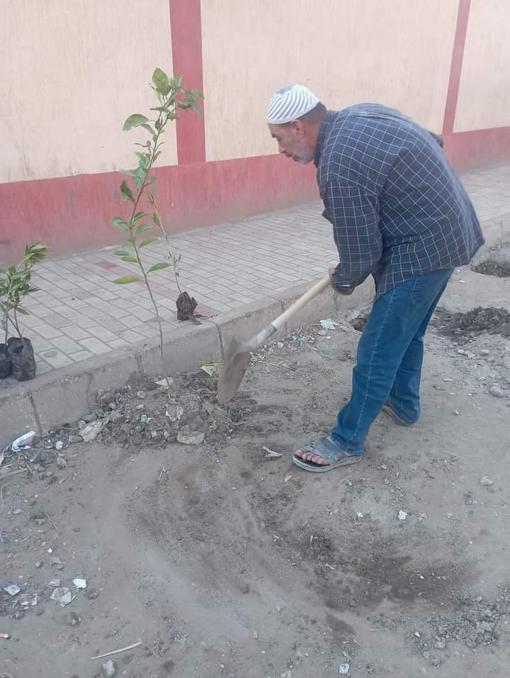 جانب من زراعة الأشجار (2)