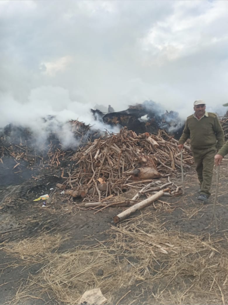 جانب من الحملات  (1)