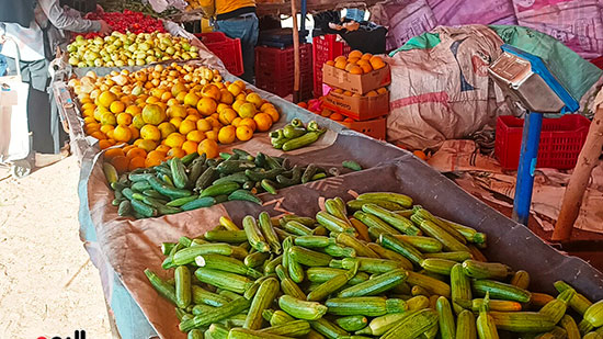 سوق-خضار-المنوفية-(2)