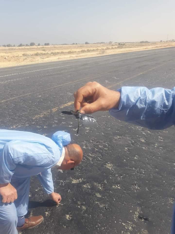 حشرة الرعاش بطريق الساحلي مطروح حشرة الرعاش بطريق الساحلي مطروح