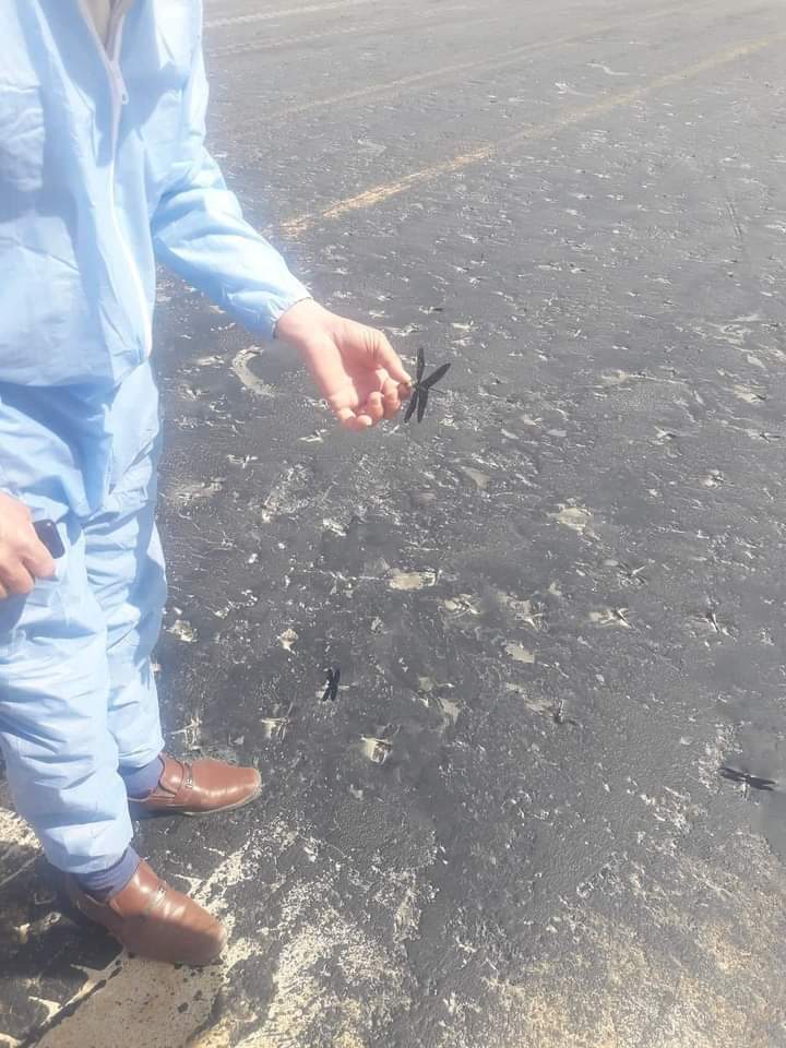 حشرة الرعاش بطريق مطروح حشرة الرعاش بطريق مطروح