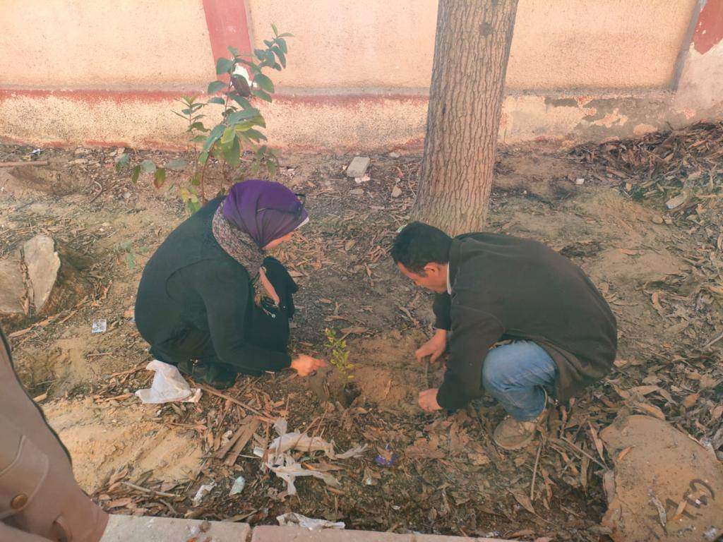 جانب من زراعة الأشجار