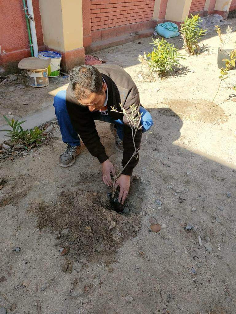 بدء زراعة الأشجار