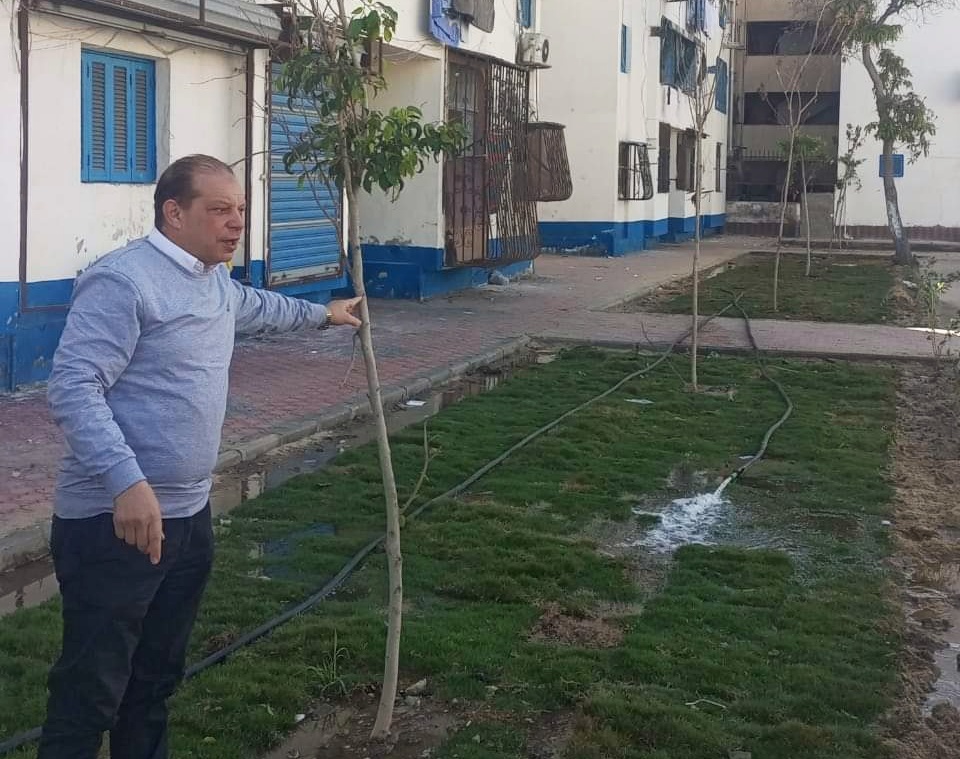 زراعة الأشجار في المناخ