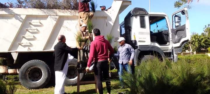 انطلاق توزيع الأشجار ضمن مبادرة 100شجرة بمطروح انطلاق توزيع الأشجار ضمن مبادرة 100شجرة بمطروح