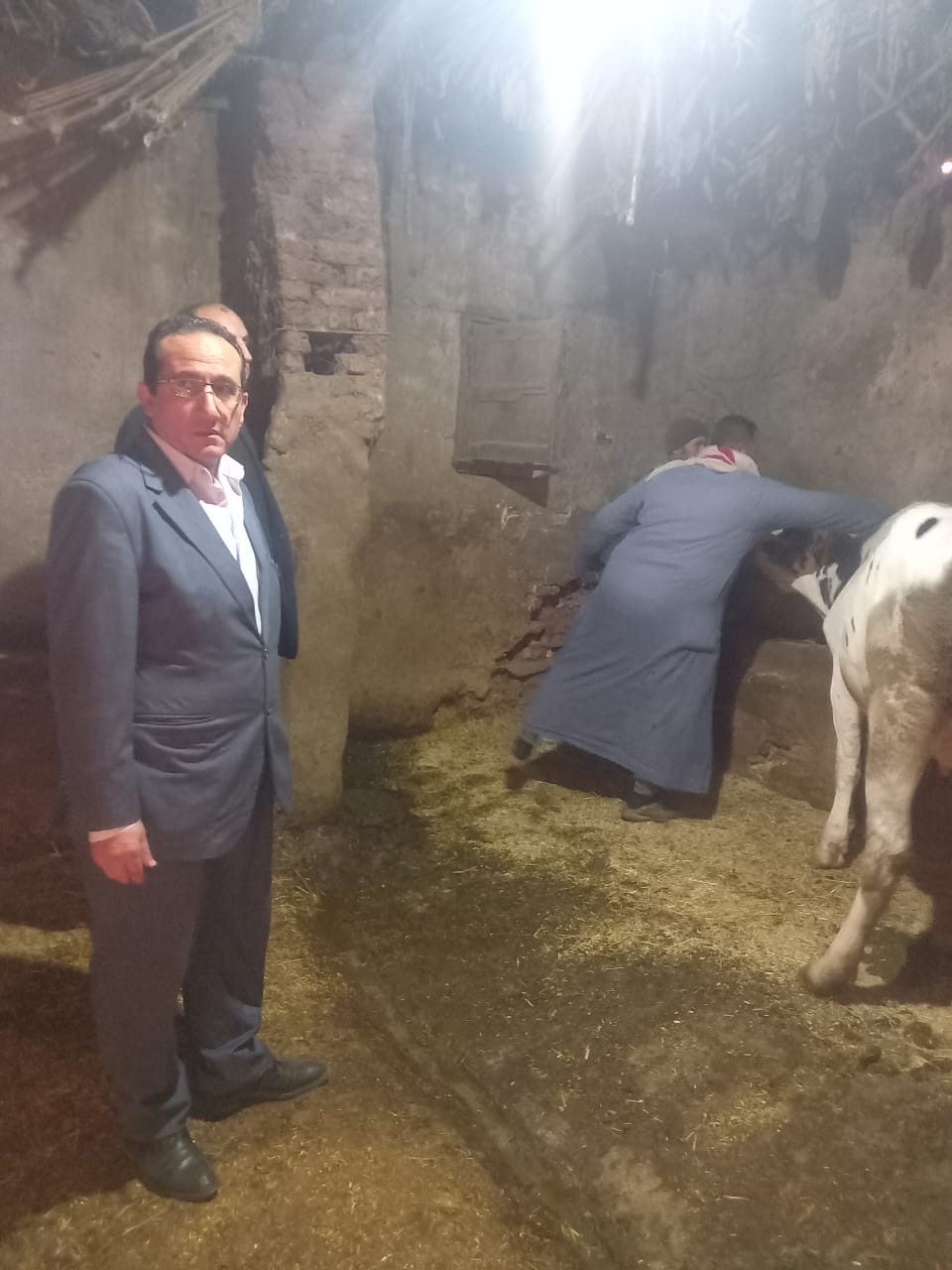 الدكتور محمد بشار مدير عام الطب البيطري يتابع اعمال تحصين الماشية