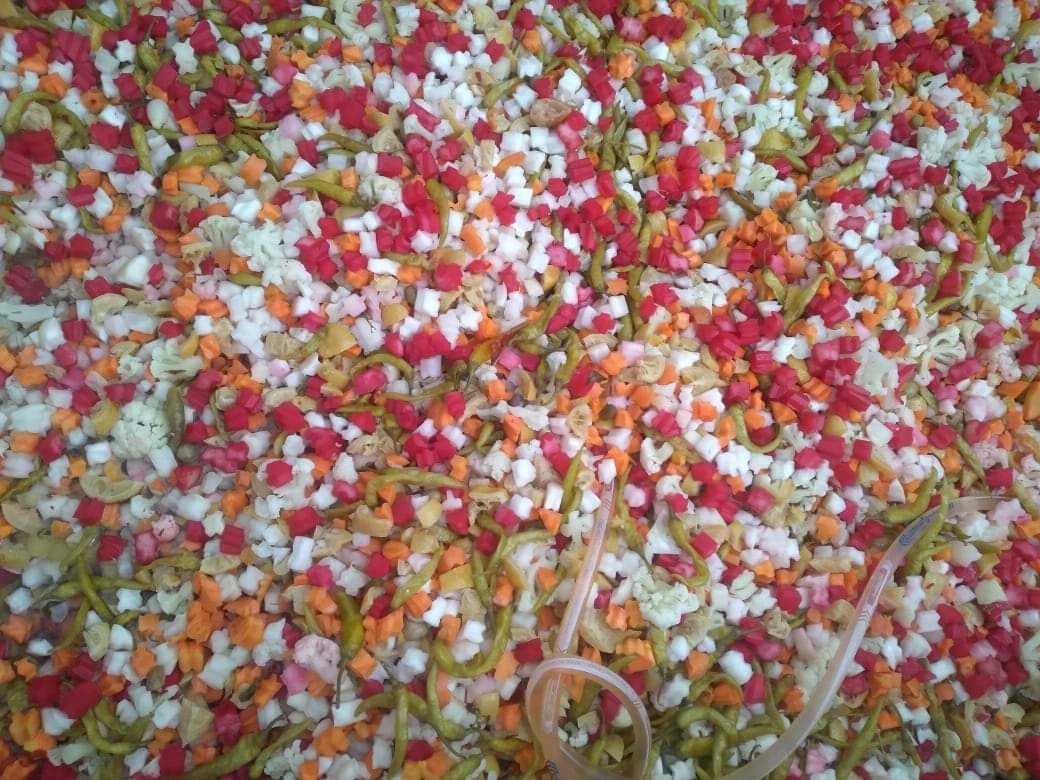 مشروع مصنع المخلل  (7)