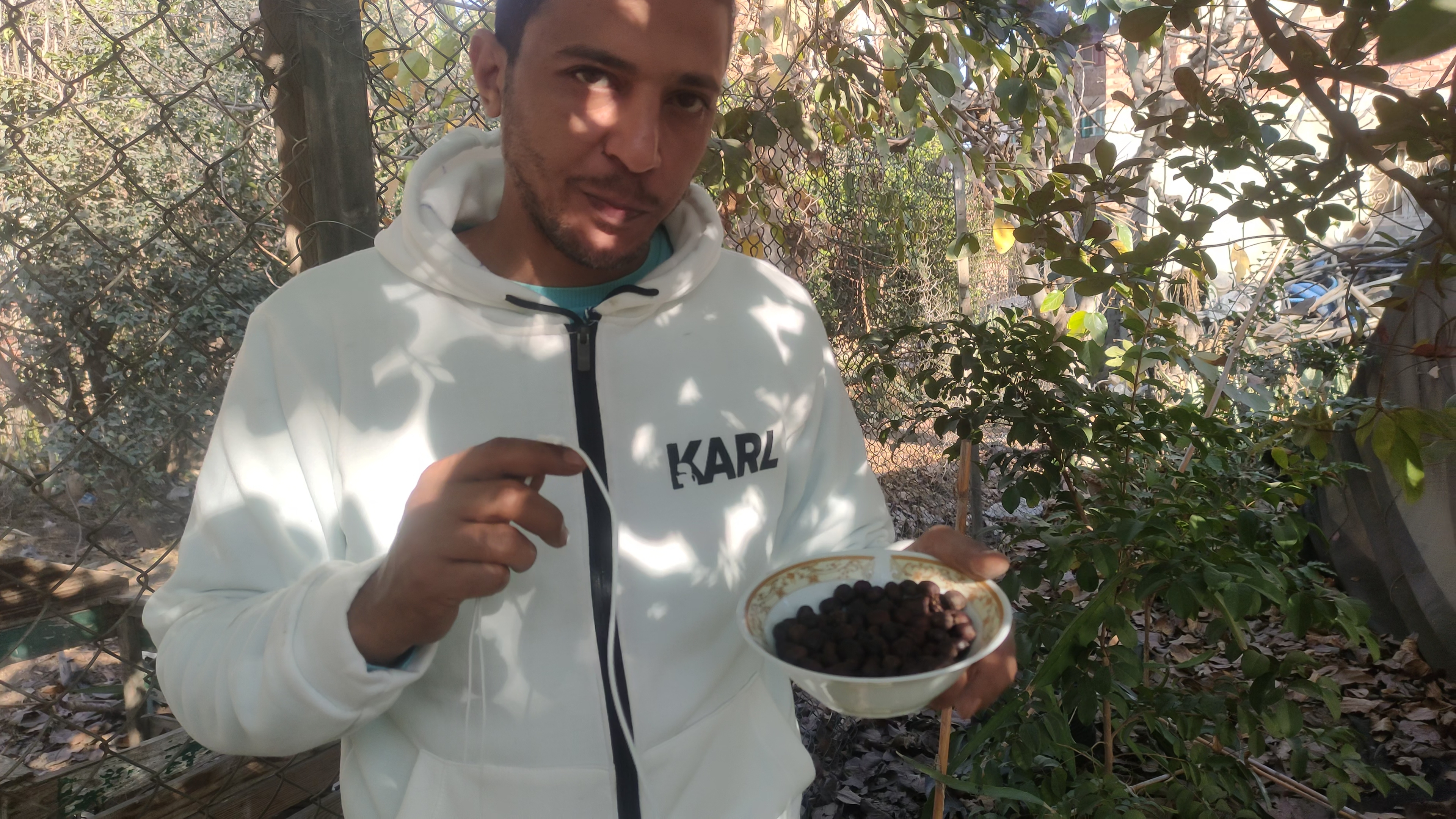  زراعة البُن الإندونيسي فى الشرقية (6)