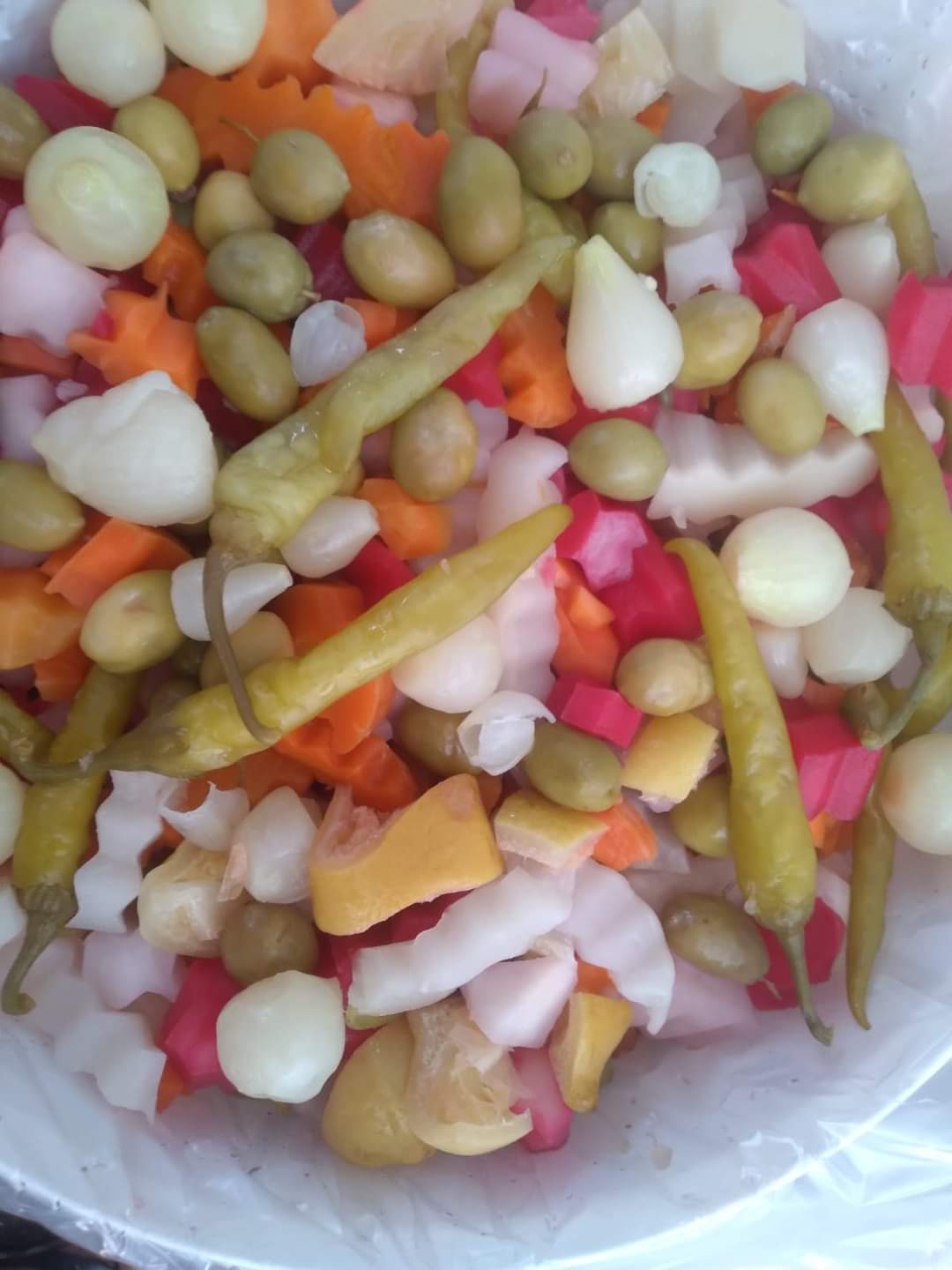 مشروع مصنع المخلل  (4)