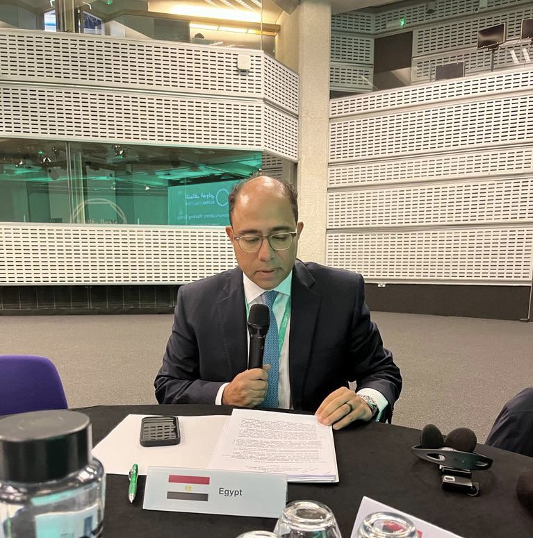 السفير أحمد أبو زيد