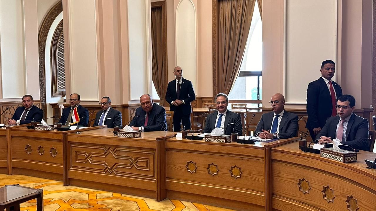مباحثات مصرية - سورية موسعة على مستوى وزيرى الخارجية (5)