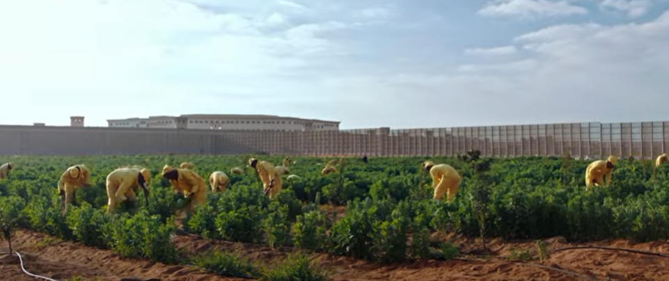 مرازع خلف الأسوار