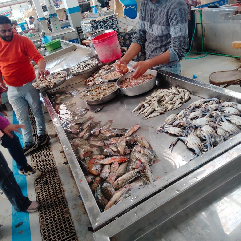 حملة تموينية علي أسواق ومحال الأسماك (7)