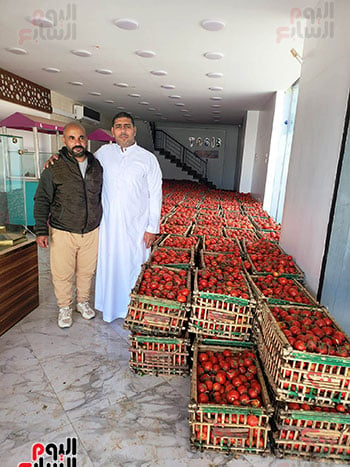 مبادرة-لبيع-كيلو-الطماطم-بجنيه-فقط-فى-رمضان
