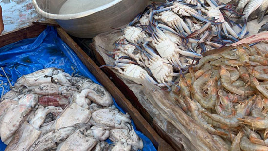 انتعاشه-فى-سوق-الأسماك-بالإسكندرية-(4)