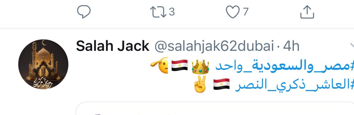 مصر والسعودية  2