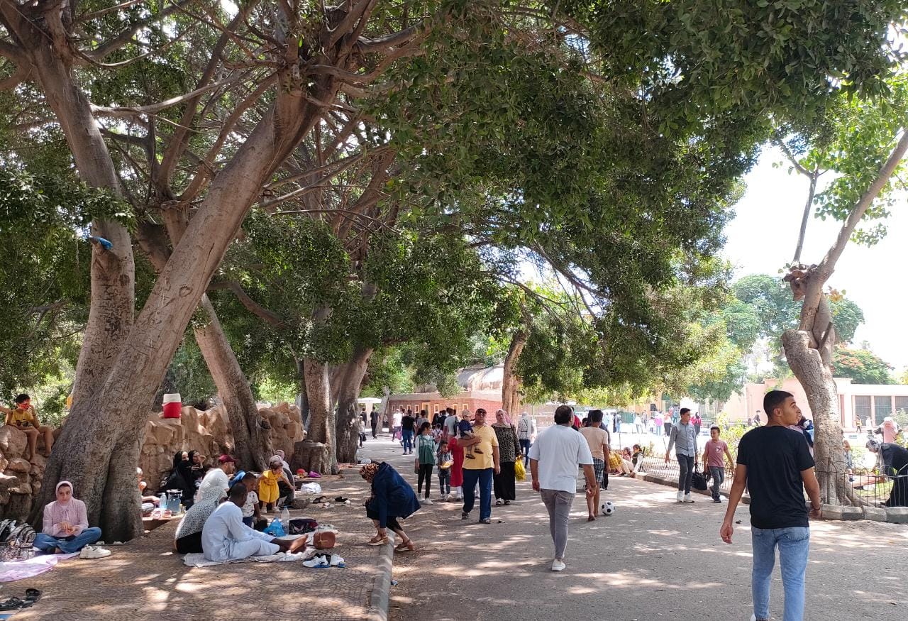 حديقة الحيوان بالإسكندرية مقصد الزائرين حديقة الحيوان بالإسكندرية مقصد الزائرين