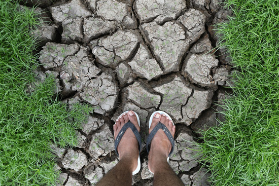 موسم الجفاف فى اندونيسيا (4)