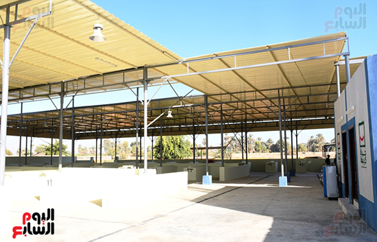 مشروعات-حياة-كريمة-فى-قرى-محافظة-أسوان-(8)