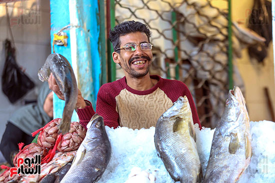 عرض السمك للبيع بسوق المنيب (1)