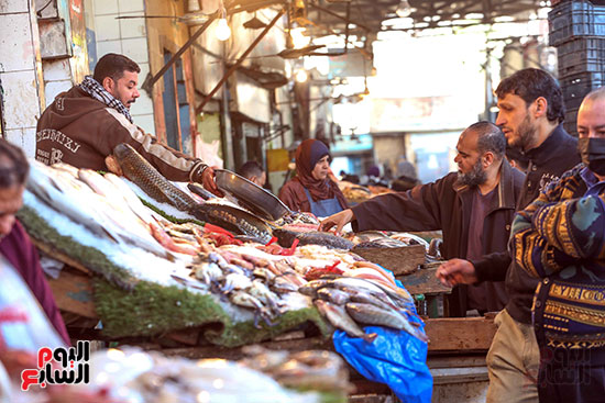 شراء السمك من سوق المنيب (2)