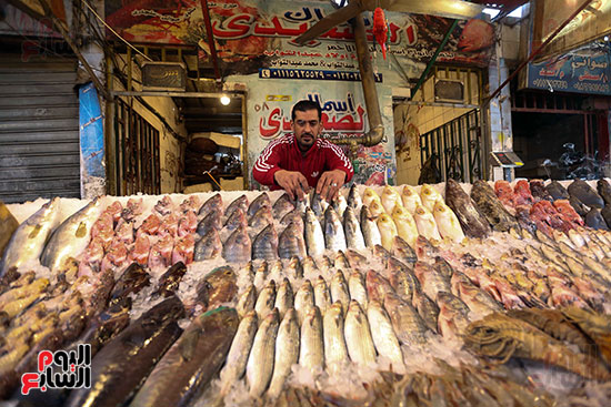 جمال السمك بسوق المنيب (2)