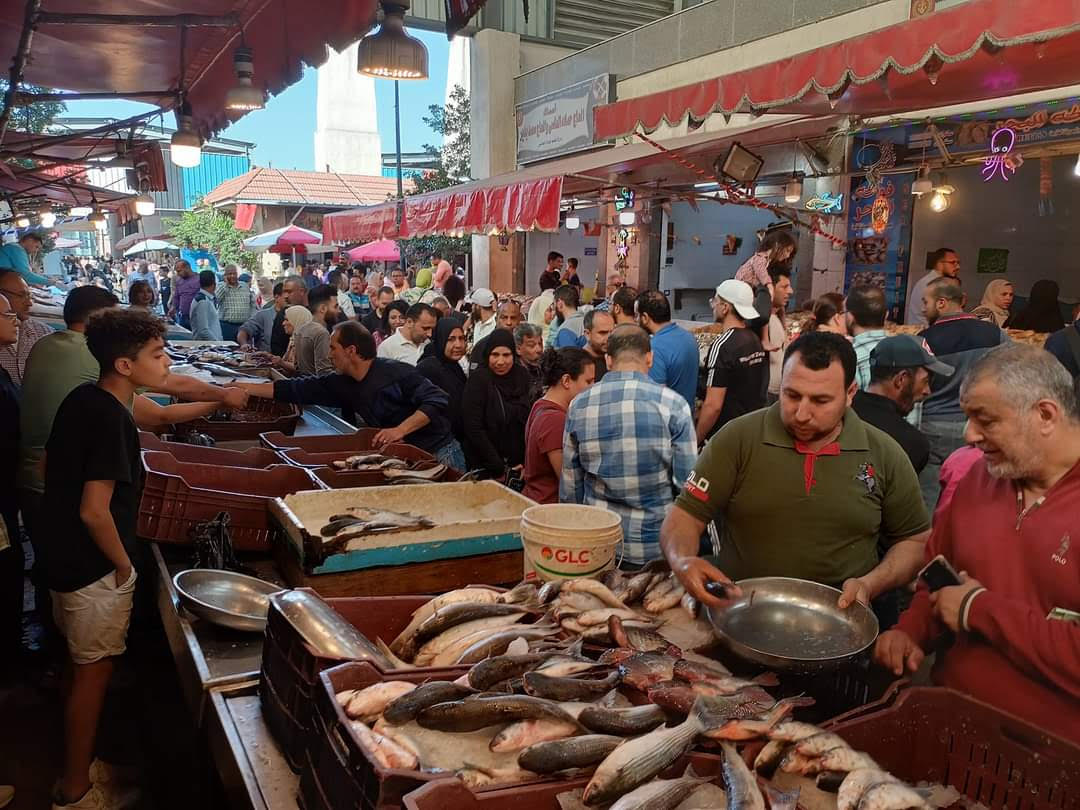 سوق السمك ببورسعيد مزار سياحى لتناول الأسماك الفاخرة