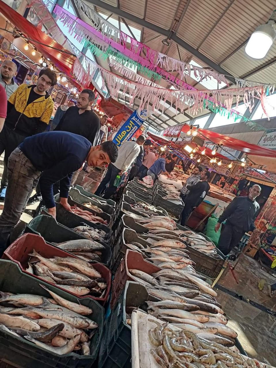 سوق الأسماك بحى العرب مزار سياحى